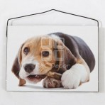 (EPF0029B) MDF Dog Hanging Plaque